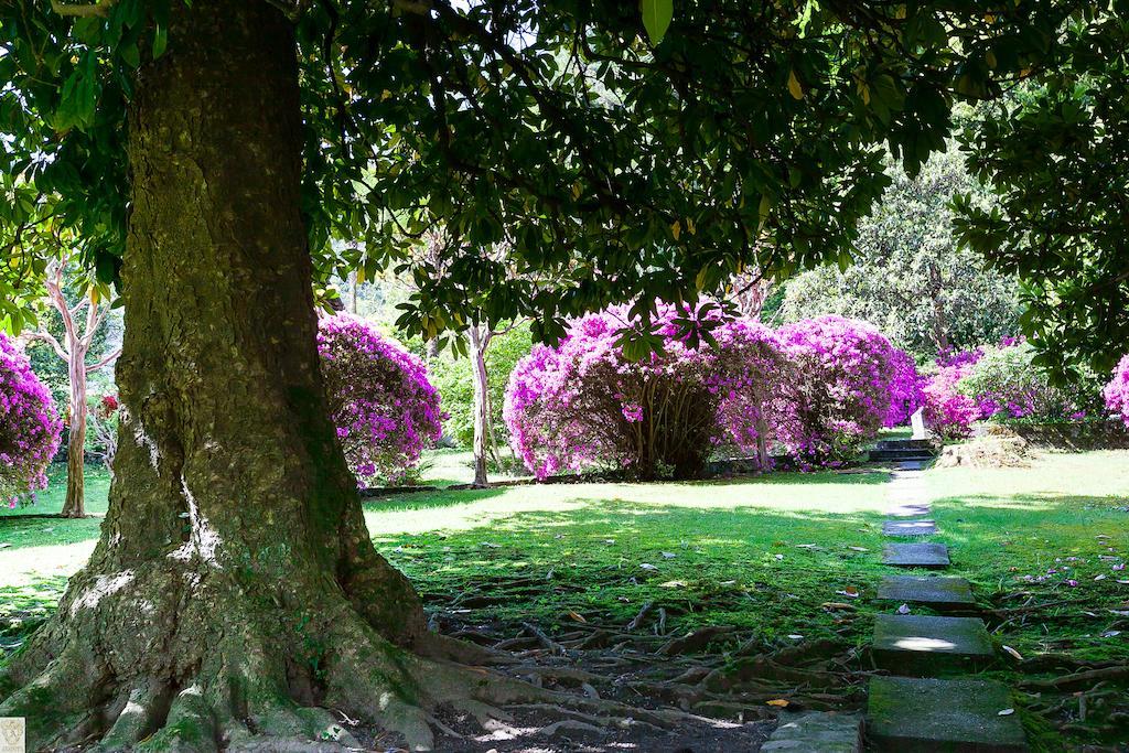 Hotel Villa E Palazzo Aminta Stresa Bagian luar foto